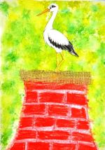 Husárová Aneta.jpg